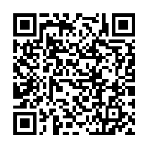 然后立刻便是将那由龙骨制成的残风扇给取了出来二维码生成