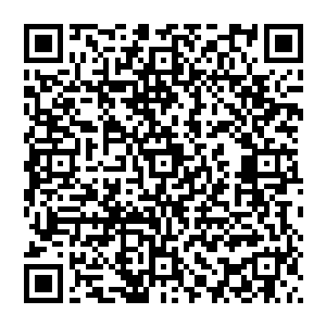 然后立刻开始全力吸收这绝域之中浓郁自己的灵气来补充自己刚刚催动灭世天火时所消耗的庞大力量二维码生成