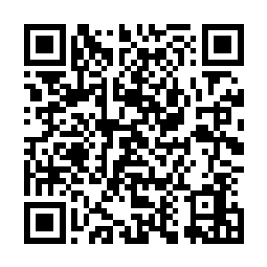 然后立刻把雨刮片当夹板用自己撕下来的衣服布条包扎定位二维码生成