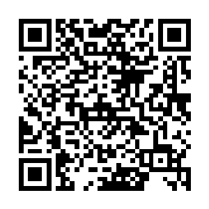 然后立即引着陌路离殇就走向了炼心塔广场旁的冰泉馆二维码生成