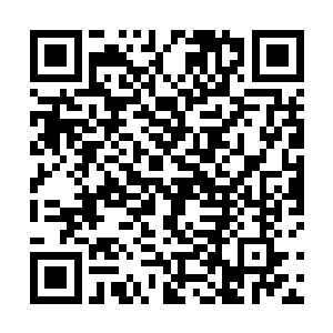 然后站起了身来对着侍立在旁边的野猪和付道士两人道二维码生成