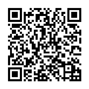 然后竟是以肉眼可见的速度直接退化成了仙云模样~二维码生成