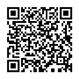 然后竟然以比楚旬更快的速度冲到了那血骑士队伍中大开杀戒二维码生成
