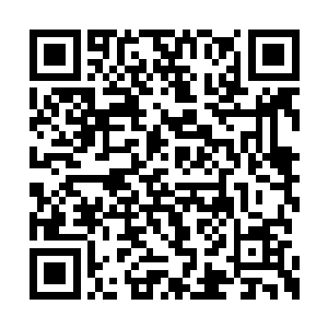 然后第一时间的就把目光放置到了丁羽的身上面二维码生成