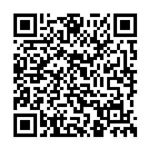 然后笼子内的鹅只能以双掌立在这滚烫铁板之上二维码生成