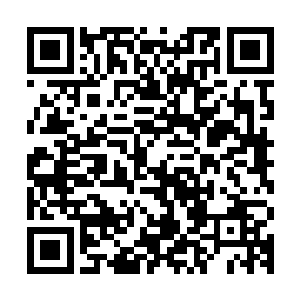 然后等到您的修为达到了九天玄仙后期巅峰再服食这个变异圣果二维码生成