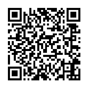 然后管事连忙捡起来把见过的几个客人面容印入其中二维码生成