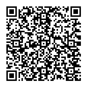 然后紧接着龙傲天又将这次龙岛的详细情况告诉了龙霸天同时也将老祖宗的事迹跟龙霸天说了一下二维码生成