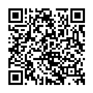 然后紧绷的情绪迅速被流墨墨的笃定眼神安抚了二维码生成
