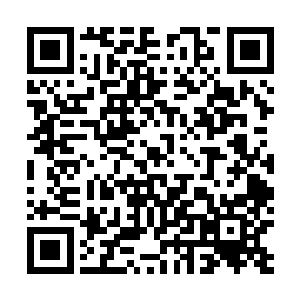 然后紧跟着脸上还带着泪花的她一下子从地上蹦跳了起来二维码生成