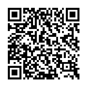 然后纷纷从对方眼中看到了一丝狠辣和决绝之色二维码生成