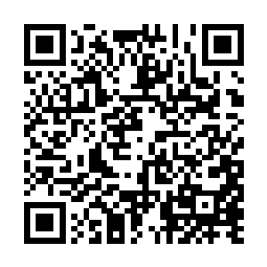 然后绕到侧面和后方连续两下……会是小叹吗……二维码生成