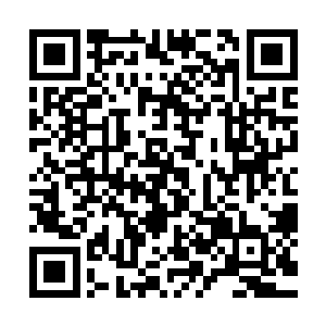 然后缓慢却坚定地把她搂进怀里一开始王靖露好像被吓了一跳二维码生成