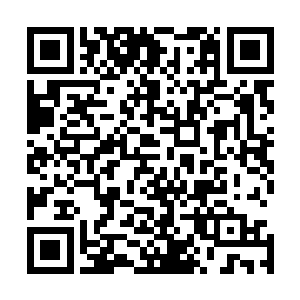 然后缓缓的压缩包围圈……一直到这鱼群感觉到四人的危险二维码生成