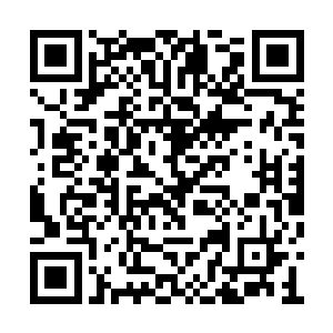 然后老祭司的卦象显示凌菲是能拯救巨人族的人二维码生成