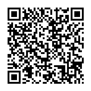 然后脑中猛的一痛标本室里就多了一个年轻少女的标本泡在福尔马林里二维码生成