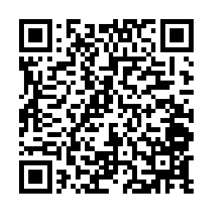 然后自己就可以去打捞这些财富了啊萌娃来袭最新章节二维码生成