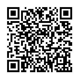 然后苏叶他个人还会捐出每部片百分之十的片酬二维码生成