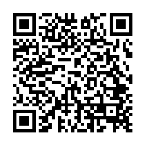 然后萨摩拉就不可思议地把视线转移向了那个暴躁的老头二维码生成