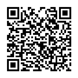 然后虐死贝爷或者被贝爷弄死就可能出现在视频里二维码生成