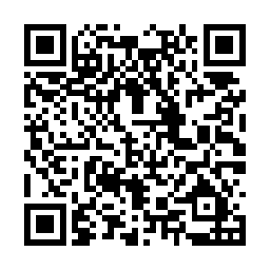 然后融入了下方的海水中了……吸收了葵水之晶后二维码生成