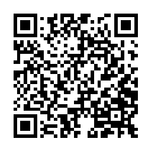 然后融入这岩浆巨龟体内让这岩浆巨龟恢复伤势么二维码生成