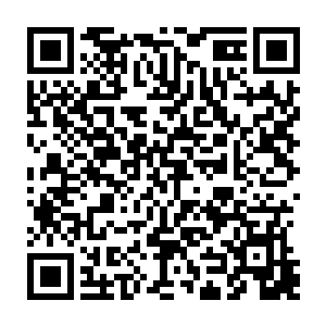 然后被不停地绞碎融合……正是梓箐先前看到那些被玩家撞到死亡的npc尸体消失二维码生成