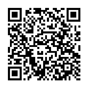 然后被站在滑梯下方的一个和他差不多大的小男孩给接住了二维码生成