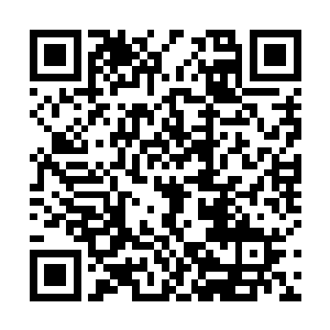 然后被那些值班警察咬着后槽牙一份一份进行初步鉴别二维码生成