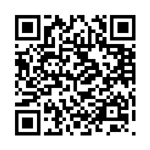 然后覆盖在了那绿色海洋一般的蝗群之中二维码生成