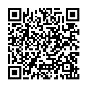 然后让少族长带领着他们提前前往星海隐藏起来二维码生成