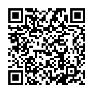 然后让系统传出当晚九阴真经已经在争夺中毁灭的说法二维码生成