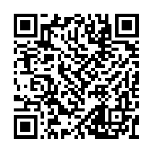 然后让自己先前培养的天神将他们收到苍山之巅二维码生成