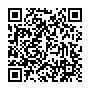 然后让苏落和宁五将这十五组的骰子数字一一写下来二维码生成