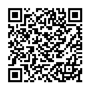 然后设计师团队根据雨果的一件对设计做出调整二维码生成