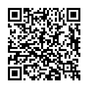 然后跟两位助手和八位强者说了之后复活的流程二维码生成