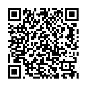 然后跟他们周旋……让他们认为一旦进行不下去二维码生成