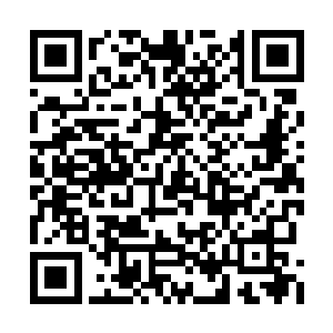 然后跟父母聊啊聊……从辅导员到学校里的帅哥二维码生成