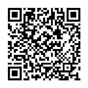 然后身子好像弹簧一样腾的一下从地上弹了起來二维码生成