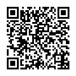 然后转过脸假装看着桌子上的那盆用来吸收电脑辐射的仙人球二维码生成