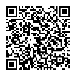 然后轻轻一抖一阵灰蒙蒙的暗光闪过三只巴掌大的沙罗獭滚了出来二维码生成