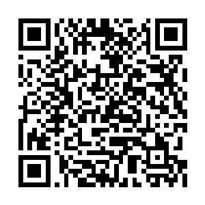 然后迅速凝聚成了一个个跟那雕像长得一模一样二维码生成