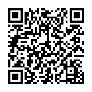 然后迅速把之前收进小皮裙中的那批物资哗啦啦全倒了出来二维码生成