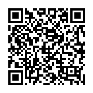 然后还有一张张类似影碟的黑色薄片被装在说明书夹内二维码生成