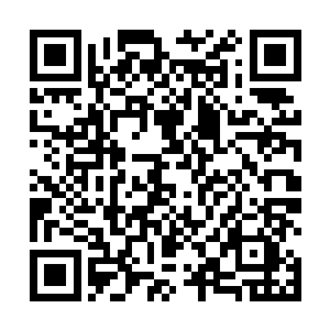 然后这五百张仙符就在许紫烟的周围渐渐地释放出光芒二维码生成