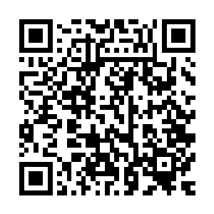 然后这些小白蜘蛛说不定多么高兴的就从我眼里朝身体内爬呢二维码生成