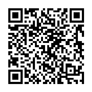 然后这才握着极品先天仙宝望向了对面高高在上的仙主二维码生成