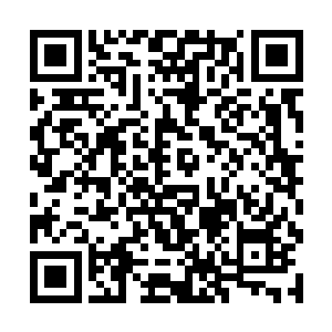 然后这才用那只戴着手套的手翻开安特万身上的西装二维码生成