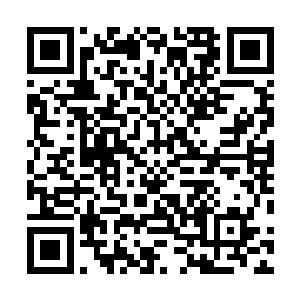然后这时巴克却也听见油罐车底下也传来一声长长的嘘气二维码生成