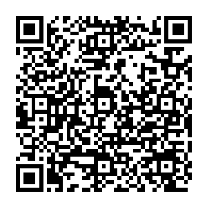 然后这架豪华商务机才算是彻底的从手续上完备的转移到巴克他们的航空公司手中来二维码生成
